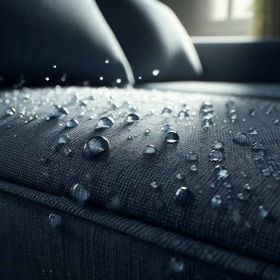 Cushion