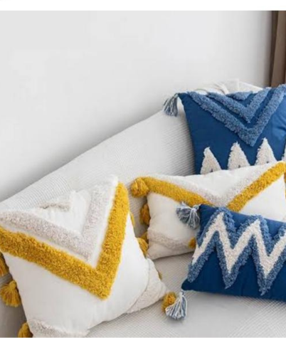 Designer Cushions